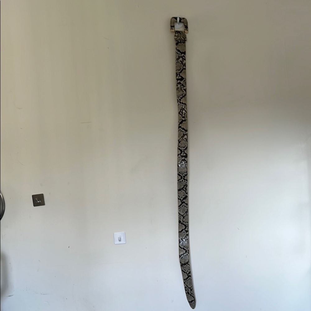 Reptile Patterned Belt